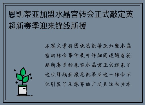 恩凯蒂亚加盟水晶宫转会正式敲定英超新赛季迎来锋线新援 恩凯蒂亚加盟水晶宫转会正式敲定英超新赛季迎来锋线新援